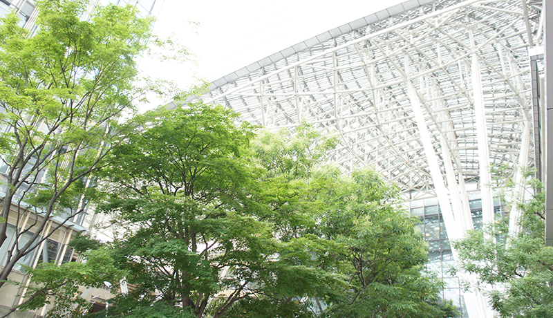 英利国际平台官方地址 炎の狼犬はベルベットの炎の狼犬に照準を合わせた